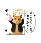 推し活ハムさん(黒担)（個別スタンプ：11）