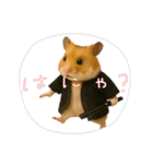 推し活ハムさん(黒担)（個別スタンプ：12）