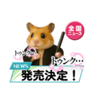 推し活ハムさん(黒担)（個別スタンプ：13）