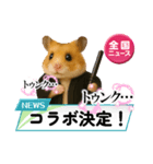 推し活ハムさん(黒担)（個別スタンプ：14）