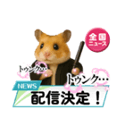 推し活ハムさん(黒担)（個別スタンプ：15）