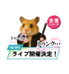 推し活ハムさん(黒担)（個別スタンプ：16）