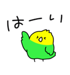 ゆるゆる☆インコちゃん（個別スタンプ：3）