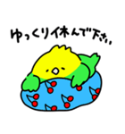ゆるゆる☆インコちゃん（個別スタンプ：11）