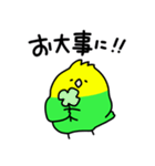 ゆるゆる☆インコちゃん（個別スタンプ：33）