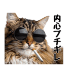 癒しのニャンズのコミュ会話（個別スタンプ：2）