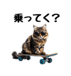 癒しのニャンズのコミュ会話（個別スタンプ：3）