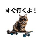 癒しのニャンズのコミュ会話（個別スタンプ：4）