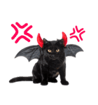 癒しのニャンズのコミュ会話（個別スタンプ：8）