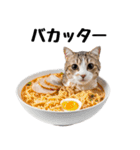 癒しのニャンズのコミュ会話（個別スタンプ：17）