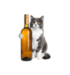 癒しのニャンズのコミュ会話（個別スタンプ：39）