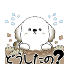 犬さん「気遣いする側？されたい側？」（個別スタンプ：1）