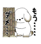 犬さん「気遣いする側？されたい側？」（個別スタンプ：19）