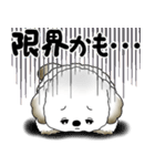 犬さん「気遣いする側？されたい側？」（個別スタンプ：23）