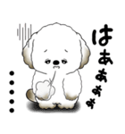 犬さん「気遣いする側？されたい側？」（個別スタンプ：28）