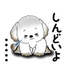 犬さん「気遣いする側？されたい側？」（個別スタンプ：31）