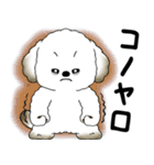 犬さん「気遣いする側？されたい側？」（個別スタンプ：40）