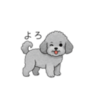 フランクな会話のトイプードル②（個別スタンプ：4）