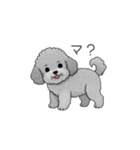 フランクな会話のトイプードル②（個別スタンプ：6）