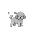 フランクな会話のトイプードル②（個別スタンプ：7）
