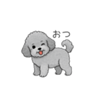 フランクな会話のトイプードル②（個別スタンプ：8）