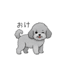 フランクな会話のトイプードル②（個別スタンプ：9）