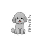 フランクな会話のトイプードル②（個別スタンプ：10）