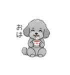 フランクな会話のトイプードル②（個別スタンプ：11）