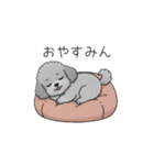 フランクな会話のトイプードル②（個別スタンプ：12）