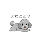 フランクな会話のトイプードル②（個別スタンプ：15）