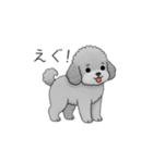 フランクな会話のトイプードル②（個別スタンプ：16）