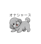 フランクな会話のトイプードル②（個別スタンプ：17）