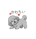 フランクな会話のトイプードル②（個別スタンプ：19）