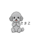 フランクな会話のトイプードル②（個別スタンプ：20）