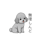 フランクな会話のトイプードル②（個別スタンプ：25）