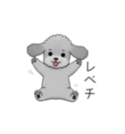フランクな会話のトイプードル②（個別スタンプ：26）