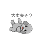 フランクな会話のトイプードル②（個別スタンプ：27）