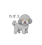 フランクな会話のトイプードル②（個別スタンプ：29）