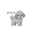 フランクな会話のトイプードル②（個別スタンプ：30）