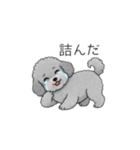 フランクな会話のトイプードル②（個別スタンプ：33）