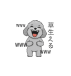 フランクな会話のトイプードル②（個別スタンプ：37）
