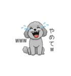 フランクな会話のトイプードル②（個別スタンプ：38）