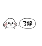 【省スペース】しゃべる白い犬（個別スタンプ：3）