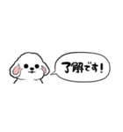 【省スペース】しゃべる白い犬（個別スタンプ：4）