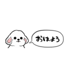 【省スペース】しゃべる白い犬（個別スタンプ：9）