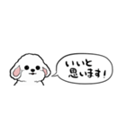 【省スペース】しゃべる白い犬（個別スタンプ：16）