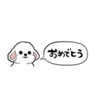 【省スペース】しゃべる白い犬（個別スタンプ：19）