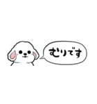 【省スペース】しゃべる白い犬（個別スタンプ：26）