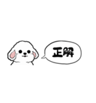 【省スペース】しゃべる白い犬（個別スタンプ：27）