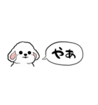 【省スペース】しゃべる白い犬（個別スタンプ：29）